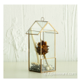 Гарм фурӯши ниҳол Rose Gold Glass Terrarium геометрӣ